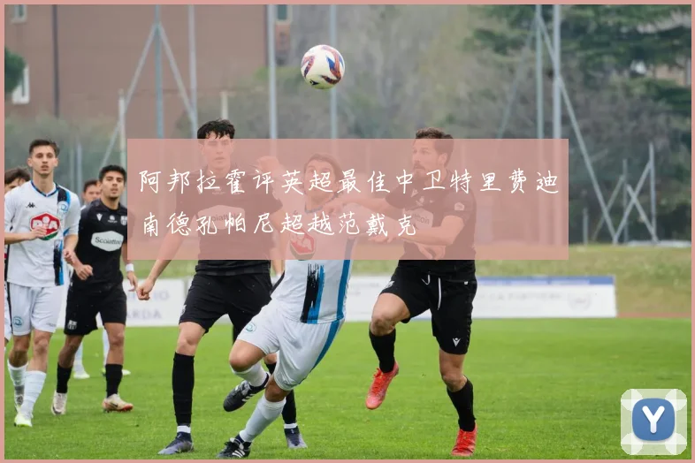 阿邦拉霍评英超最佳中卫特里费迪南德孔帕尼超越范戴克